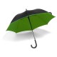 Автоматична парасолька, колір зелений - V4118-06