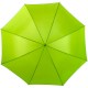 Автоматична парасолька, колір світло-зелений - V4221-10