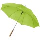 Автоматична парасолька, колір світло-зелений - V4221-10